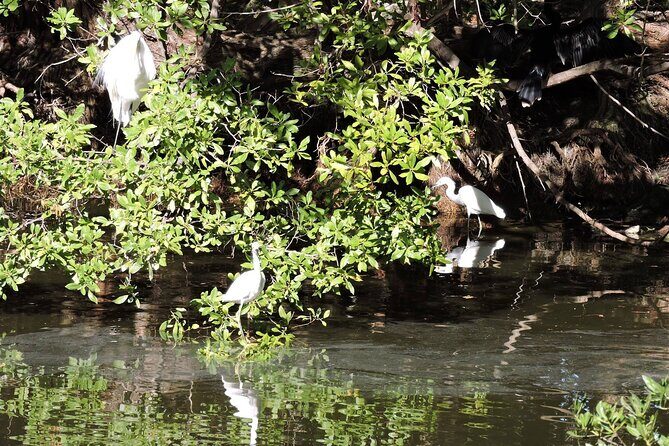 Private Key West National Wildlife Refuge Eco Trip - Who Will Love This Tour?