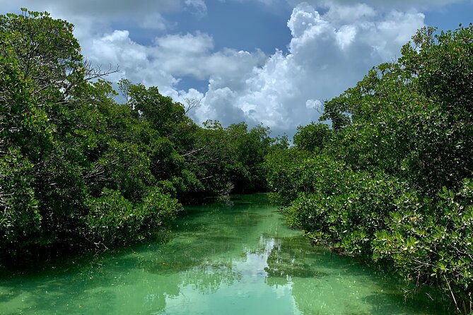 private-key-west-sandbar-and-paddle-by-boat-2