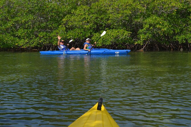 private-key-west-sandbar-and-paddle-by-boat