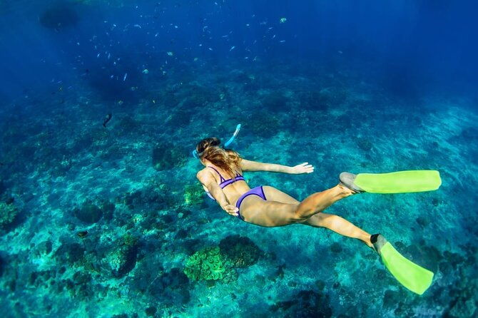 private-key-west-snorkeling-adventure