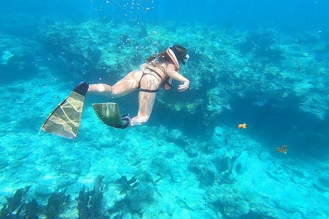 private-key-west-snorkeling-adventure