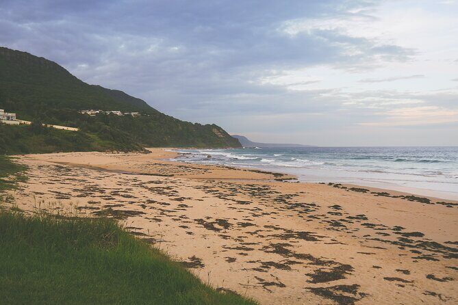 Private Kiama Day Trip from Sydney Sea Cliff and Farmlands - Who Would Love This Tour?