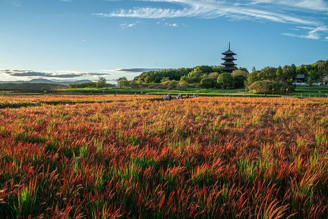 private-kibi-cycling-local-ramen-tour-with-a-licensed-guide