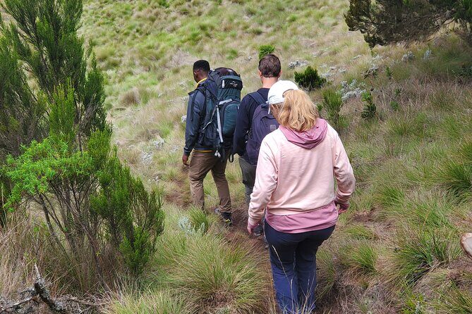Private Kilimanjaro Day Hike to Marangu Route's Mandara Hut - Practical Tips for Your Kilimanjaro Day Hike