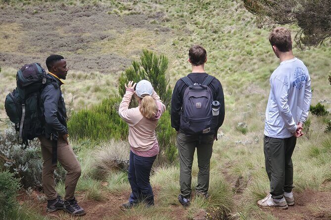 Private Kilimanjaro Day Hike to Marangu Route's Mandara Hut - The Sum Up