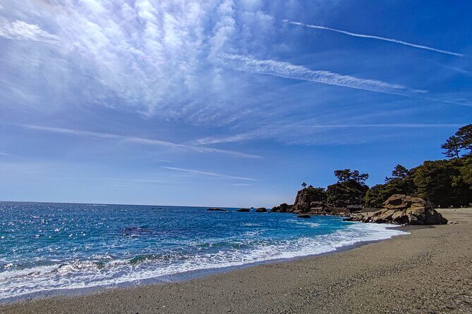 Private Kochi Shore Excursion - FAQs