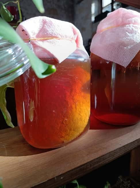 Private Kombucha Making Workshop in Cyprus - FAQs