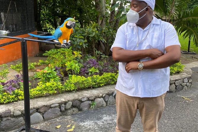 private-konoko-falls-and-blue-hole-combo-tour-from-ocho-rios