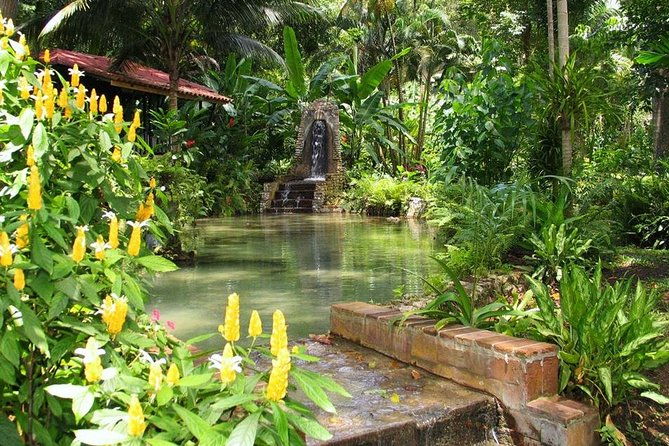private-konoko-falls-and-blue-hole-combo-tour-from-ocho-rios