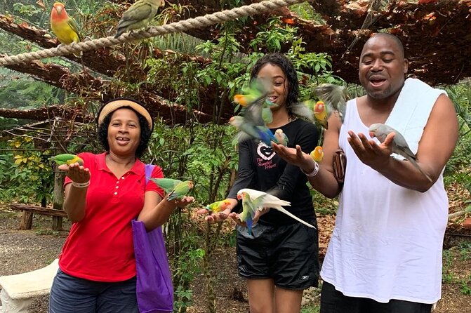 private-konoko-falls-and-blue-hole-combo-tour-from-ocho-rios