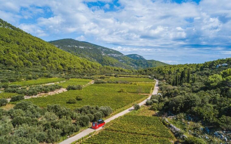private-korcula-island-wine-sightseeing-tour