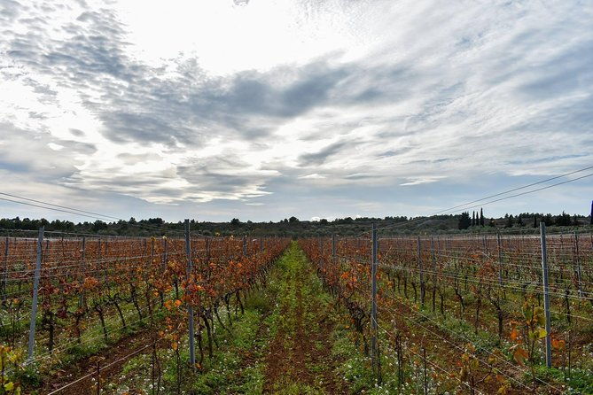 private-krka-waterfalls-with-wine-and-prosciutto-shore-excursion