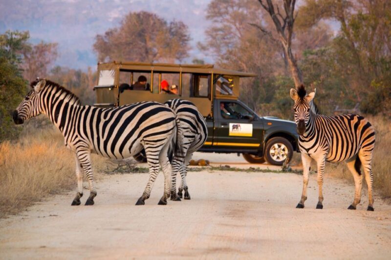 Private Kruger Full Day Safari from Hazyview - Key Points