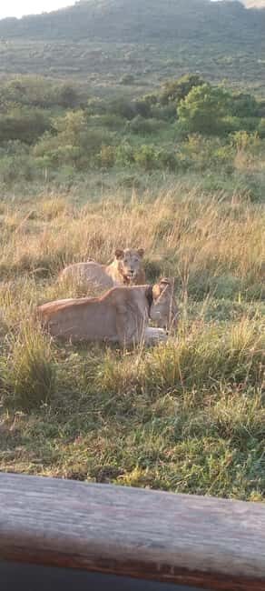 Private Kruger park and Panorama route tour - Key Points