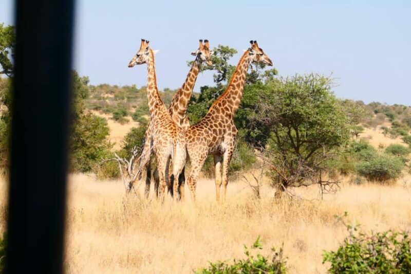 Private Kruger park and Panorama route tour - Starting Point: Johannesburg to Kruger