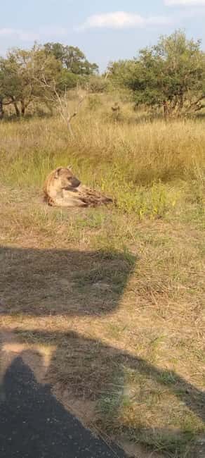 Private Kruger park and Panorama route tour - Day 3: Scenic Drive via Panorama Route