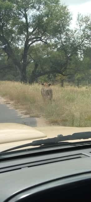 Private Kruger park and Panorama route tour - Authentic Traveler Insights