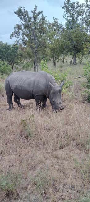 Private Kruger park and Panorama route tour - Who Should Consider This Tour?