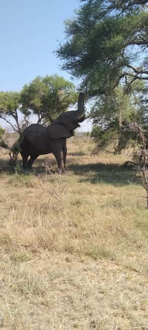 Private Kruger park and Panorama route tour - FAQ