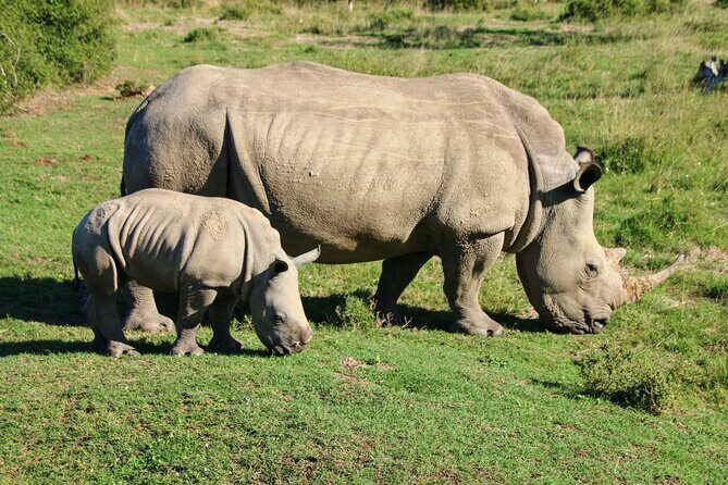 Private Kruger Park Safari and Panorama Route - FAQs