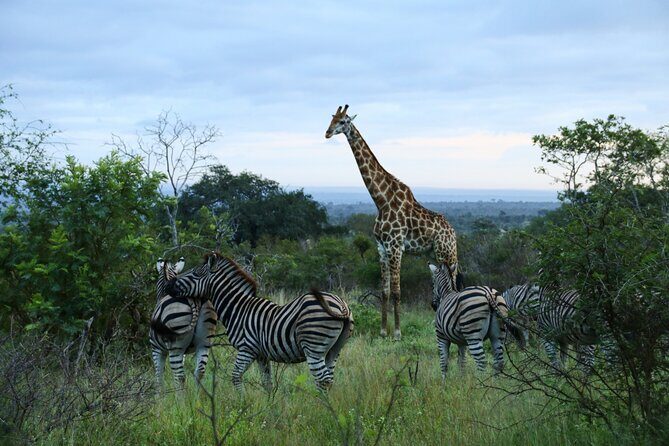 Private Kruger Park Safari and Panorama Route - Final Thoughts