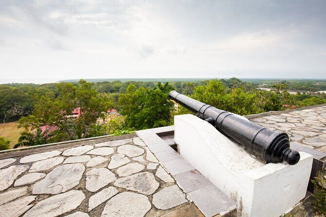 Private Kuala Selangor Firefly Day Trip from Kuala Lumpur - Detailed Breakdown of the Experience