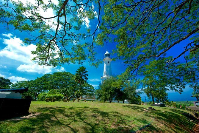 Private Kuala Selangor Firefly Day Trip from Kuala Lumpur - Authentic Insights and Tips from Reviews