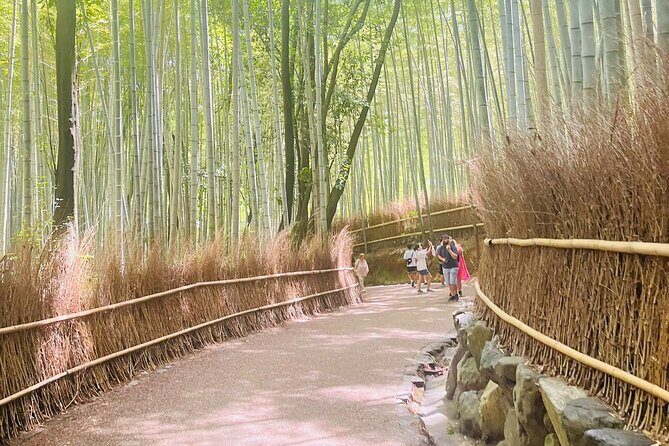 Private Kyoto  Nara Customized Day Tour With English Guide & Veh - Who Would Love This Tour?