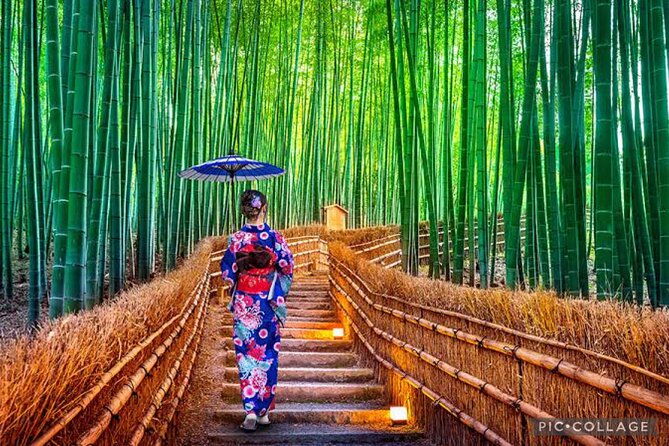 private-kyoto-nara-tour-from-osaka-with-hotel-pickup-and-drop-off