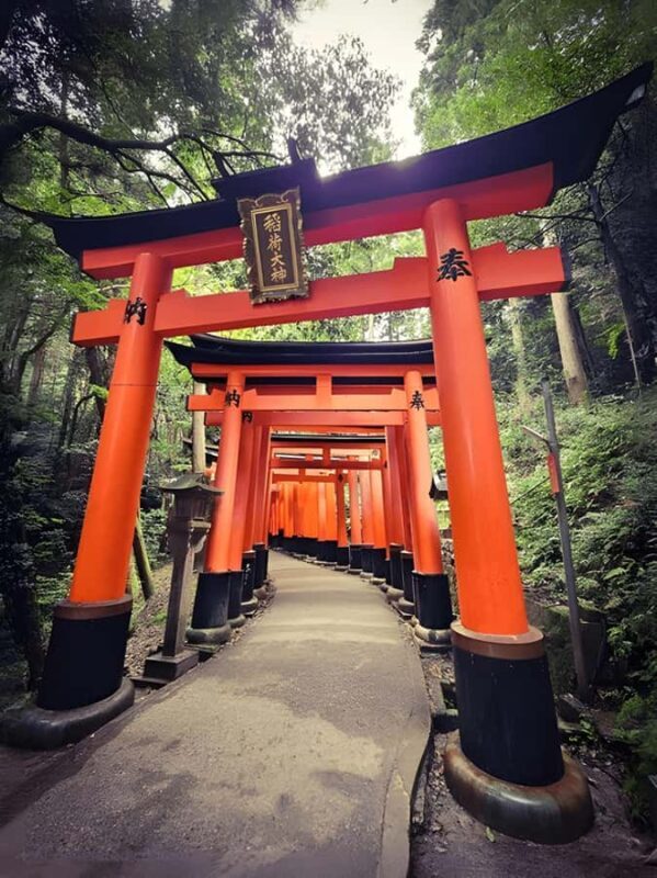 Private Kyoto Sightseeing Tour (Green Number Plates) - Key Points