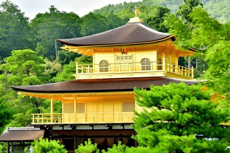 Private Kyoto Sightseeing Tour (Green Number Plates) - Transportation & Practicalities