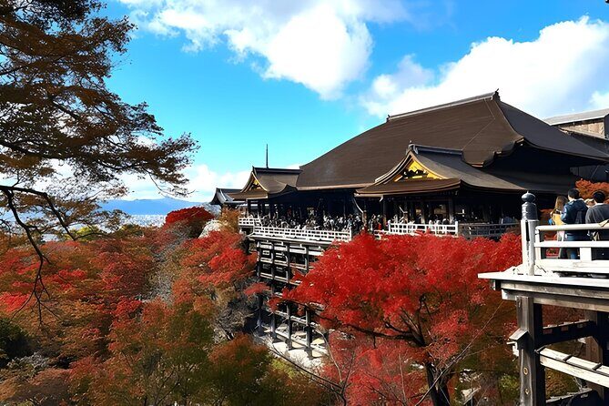 Private Kyoto Sightseeing Tour with Licensed Green-Plate Vehicle - Why This Tour Offers Good Value