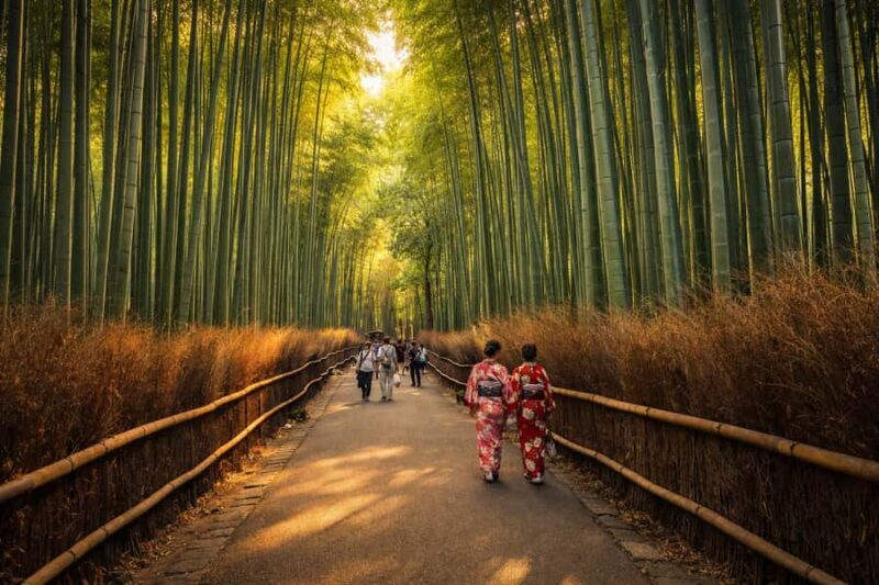 Private kyoto Tour with English speaking guide and vehicle - Final Thoughts