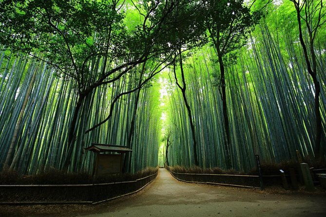 private-kyoto-tour-with-hotel-pickup-and-drop-off-from-osaka