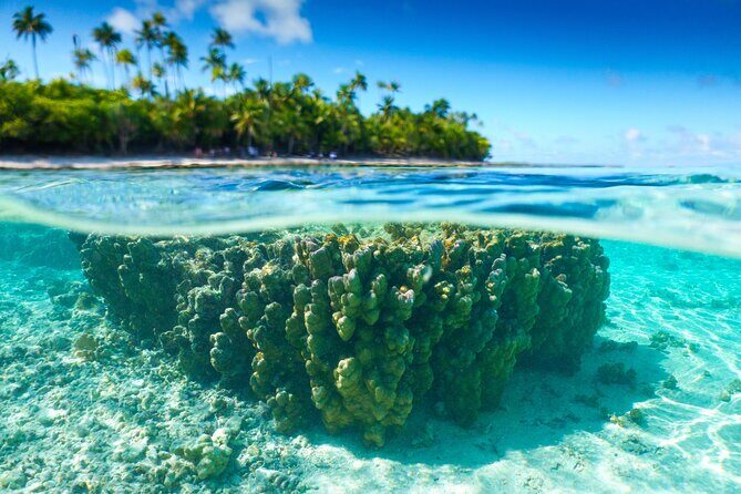Private Lagoon Cruise Maxi Catamaran Experience Bora Bora - A Deep Look at the Bora Bora Maxi Catamaran Experience