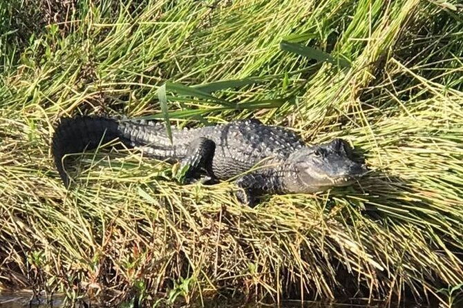 private-lake-june-fishing-charter-in-florida-4-or-6-hour-options