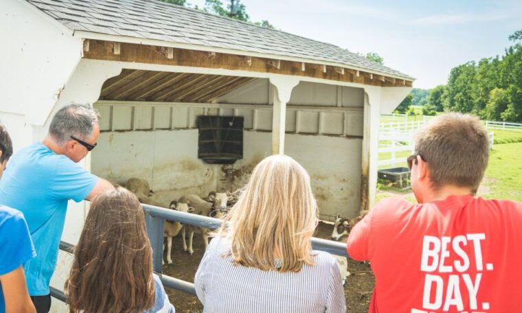 private-lancaster-county-amish-tour-from-philadelphia