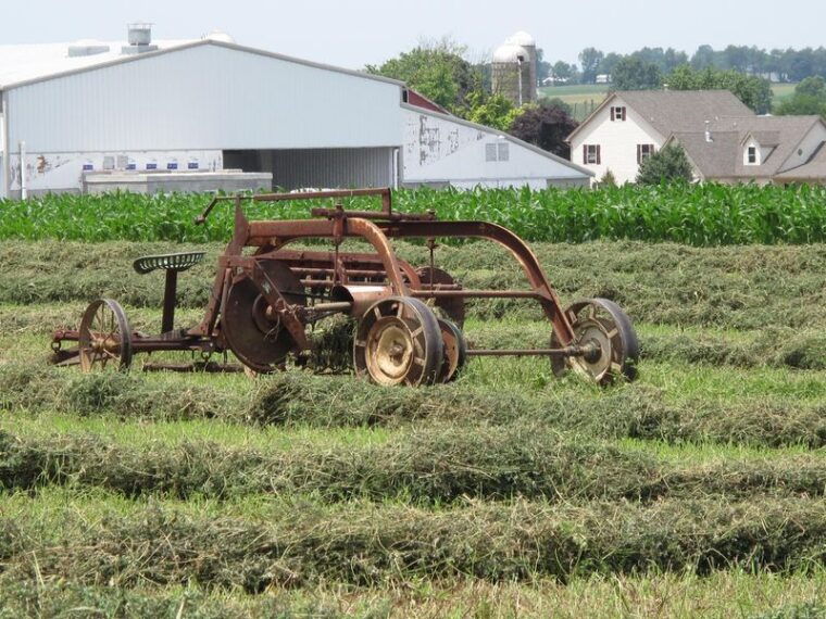 private-lancaster-county-amish-tour-from-philadelphia