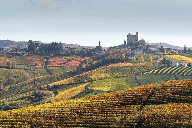 private-langhe-and-barolo-wine-tour-from-milan
