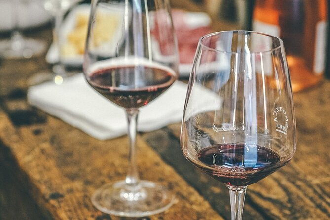 private-langhe-and-barolo-wine-tour-from-milan