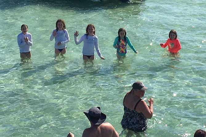 private-large-group-snorkel-shelling-eco-excursion