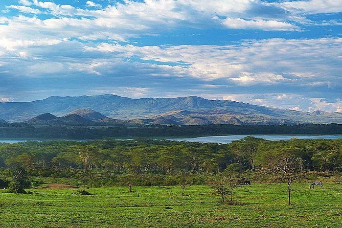 Private Layover Tour to Hells Gate National park with Optional Boat Ride - Who Would Love This Tour?