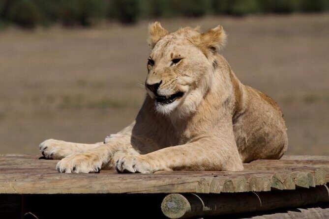 Private Le Cape Animal Farms Full Day Tour - FAQs