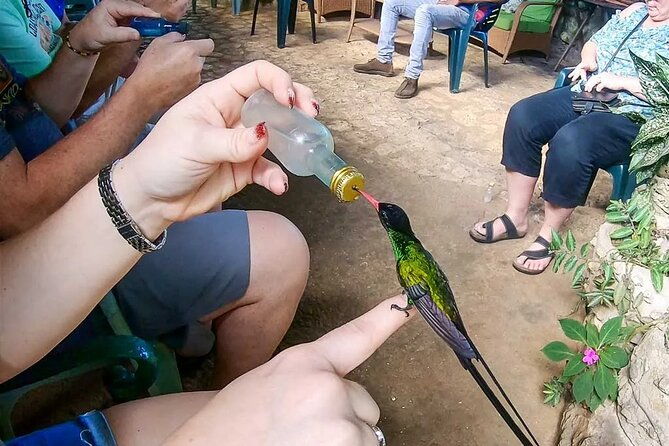 private-lethe-river-rafting-and-bird-sanctuary-tour-in-negril