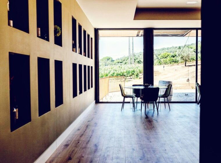 private-lisbon-arrabida-wine-tour-culture-scenery-wines