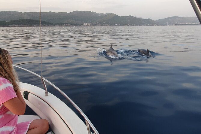 private-local-guided-speedboat-tour-in-dubrovnik-archipelago