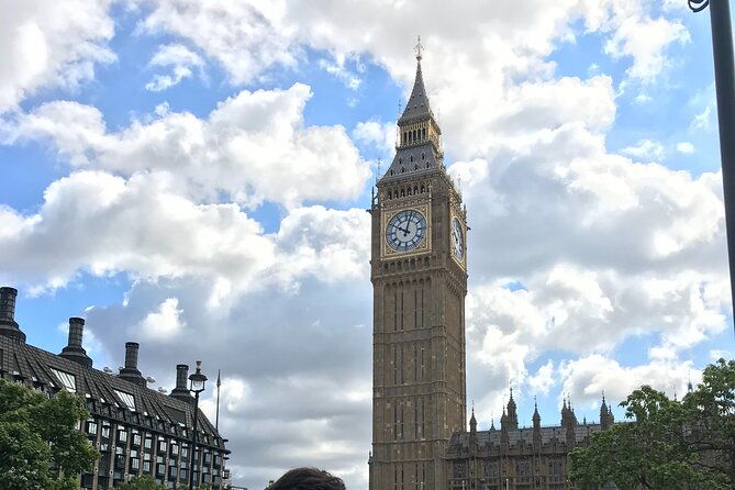 private-london-tours-by-experienced-guide-in-hybrid-london-taxi