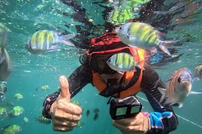 Private Longtail Boat Day Trip to Trang 4 Islands - Who Will Love This Tour?