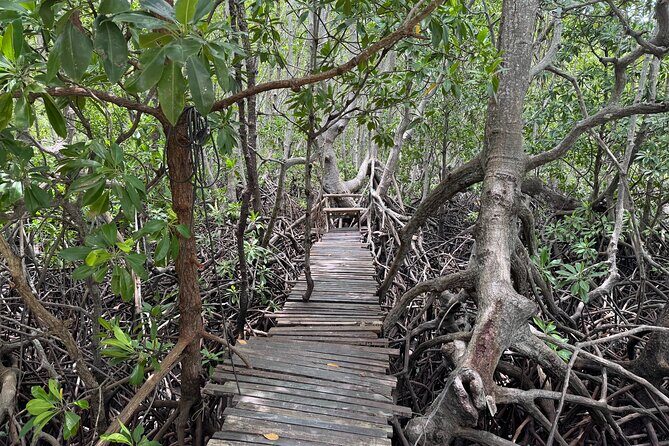 Private Longtail Boat Tour to Koh Madsum & Koh Tan - Practical Tips for the Tour