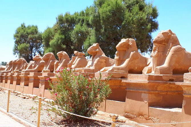 Private Luxor, Top 10 Tourist Attractions in 3 Days - Practical Considerations and Insights from Reviews